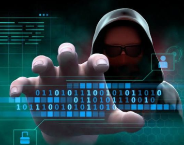 Hackers of 1309 sites belonging to State Institutions, Have Been Arrested by Cyber Police